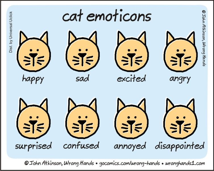 Cat emoticons