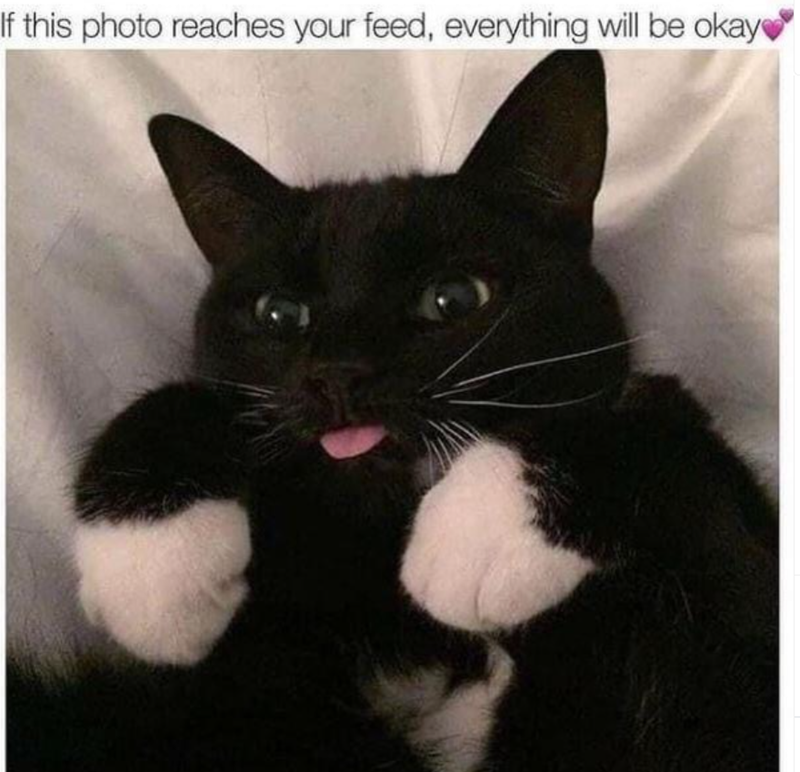 Everything will be okay!!