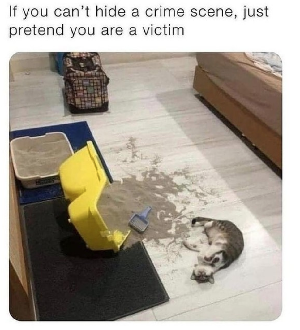 I'd love to hear this excuse...
