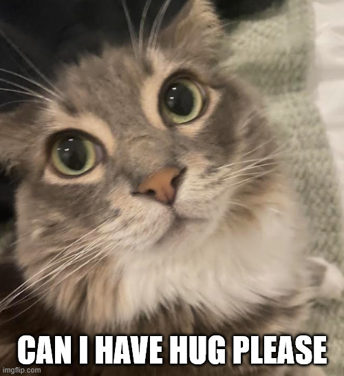 Hug please